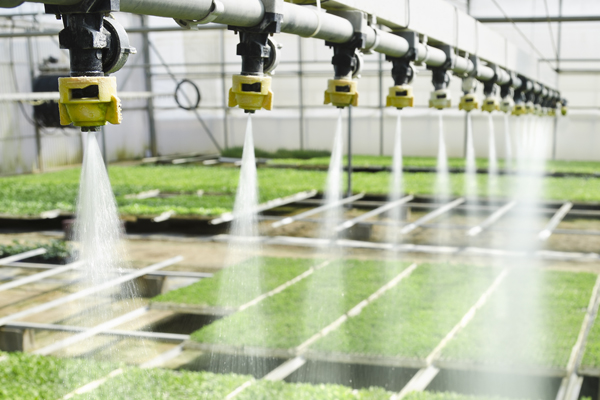 LV3ovg58RBJBp36kHfPRssVtlu4LnIdrVDncFVvA.jpeg LV3ovg58RBJBp36kHfPRssVtlu4LnIdrVDncFVvA.jpeg