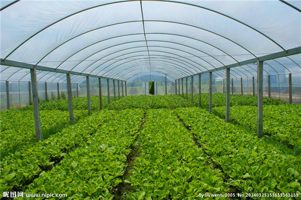 ExcE7DXYdXRX2xLjG8GBjGqf5pKu4FNtqklDXWGl.jpeg ExcE7DXYdXRX2xLjG8GBjGqf5pKu4FNtqklDXWGl.jpeg